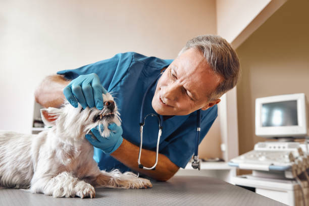 Best After-Hours Dental Care in Atlantic Highlands, NJ